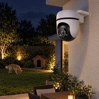 Cámara Wi-Fi Exterior Tapo C500 1080p 360° - lifestyle pet-patio-night - Media Factory