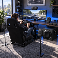 Sistema de Parlantes Logitech Z906 5.1 THX 1000 W - escena lifestyle 2 de uso real